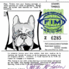 La Licence – Impression - (Mod/006)