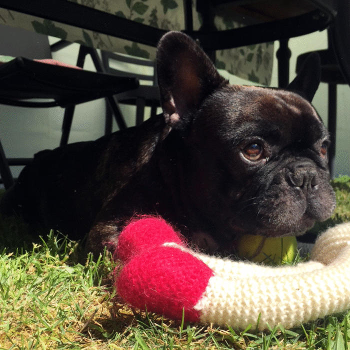 Le Jeune Moustache à la Perle – T-shirt coton bio (Mod/019)