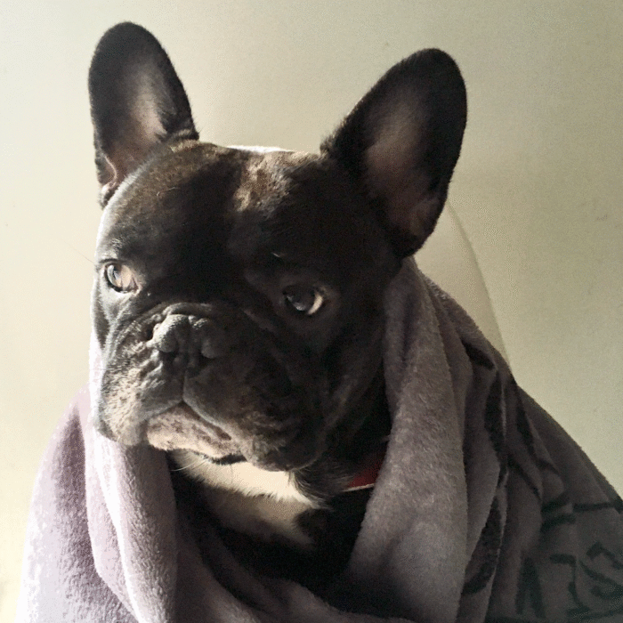 Aisément…de qui il s’agit…vous trouverez !!! Ce modèle associe Moustache à l’une des sagas qui affiche le plus de records.