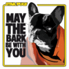 Star Pugs – Impression (Mod/002)