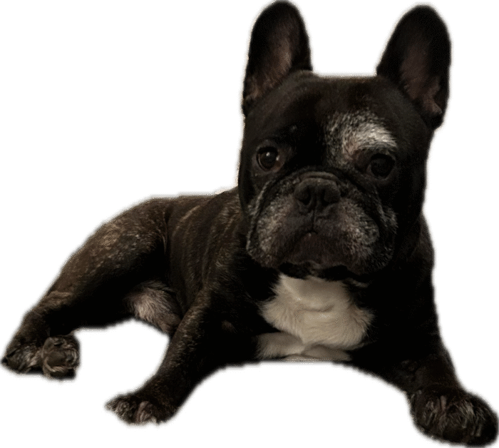 image (6) Liberté Égalité Moustache – T-shirt coton bio (Mod/012)